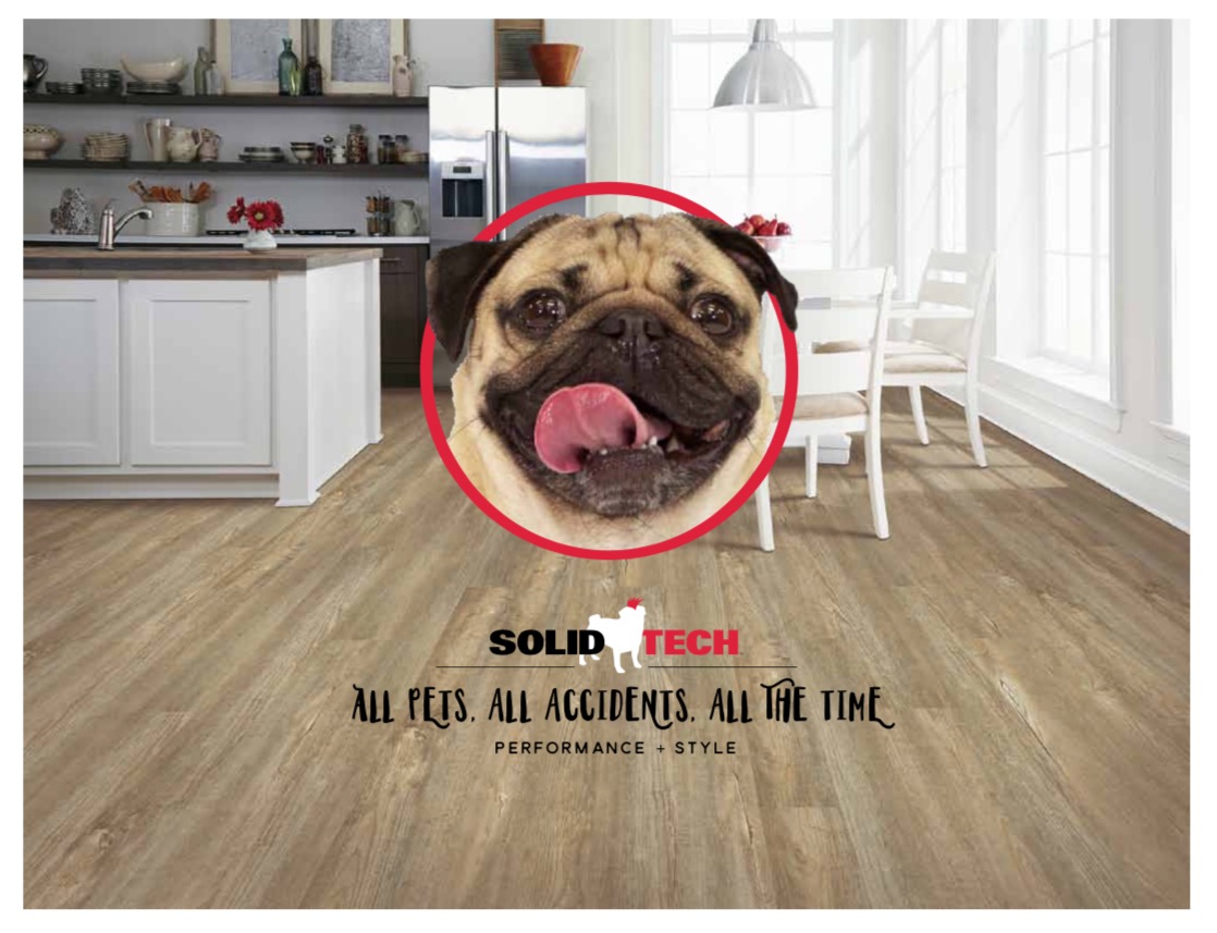 Solidtech - all pets. all accidents. all the time.